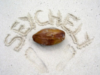/album/fotogaleria-seychely-zajezd-vy-a-my/seychely-zajazd-86-jpg1/